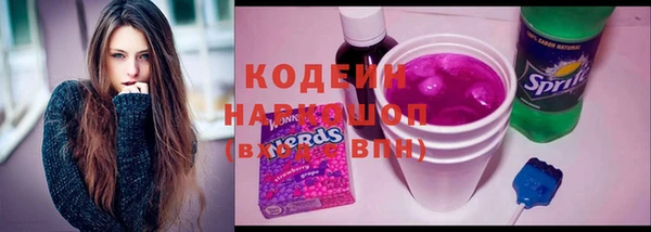 сатива Арсеньев