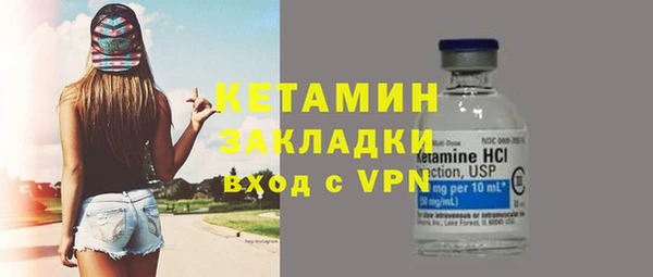 шишки Аркадак