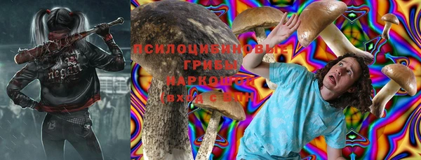 шишки Аркадак