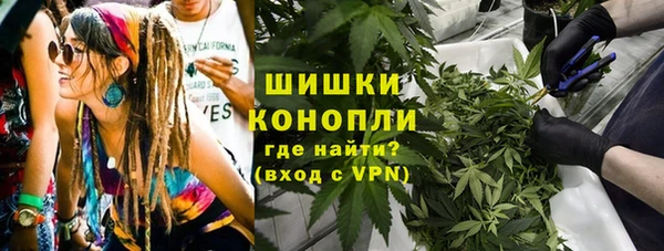 шишки Аркадак