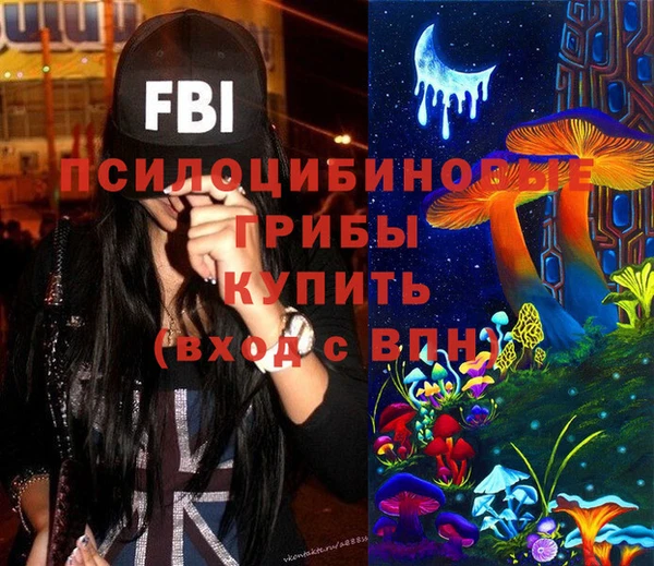 сатива Арсеньев