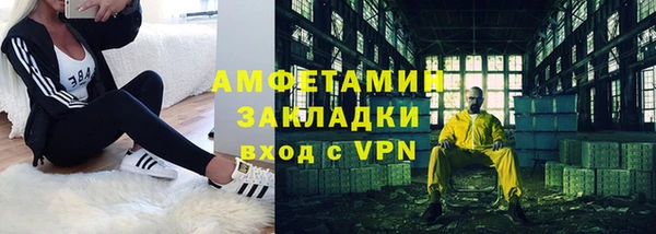 шишки Аркадак