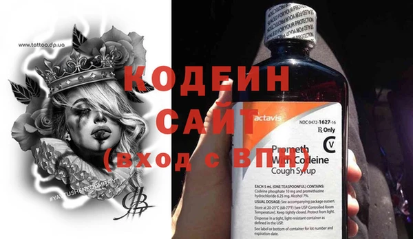 шишки Новозыбков