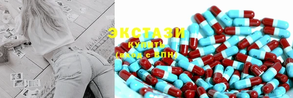 шишки Аркадак