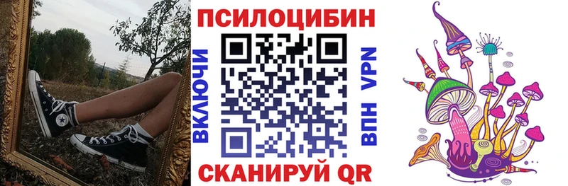 Псилоцибиновые грибы прущие грибы  купить закладку  Курчалой 