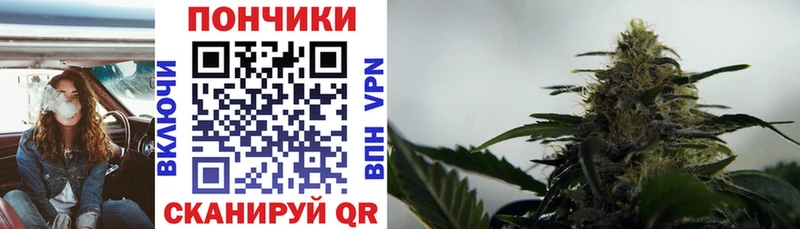 Марихуана индика  Курчалой 